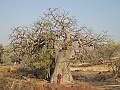NAMIIA 2011 600